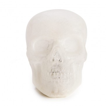 Skull Table Lamp